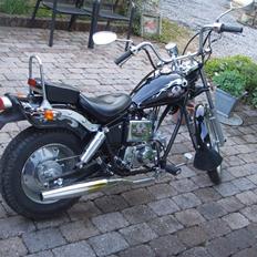 Regal Raptor $ SÆLGES $ 