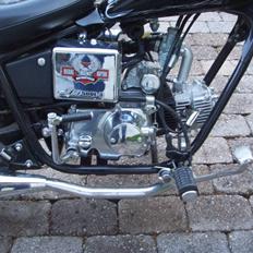 Regal Raptor $ SÆLGES $ 