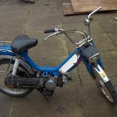 Honda camino SOLGT
