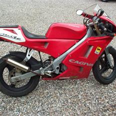 Cagiva Mito      ****SOLGT*****