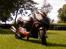 Aprilia sonic-T GP (Byttet)