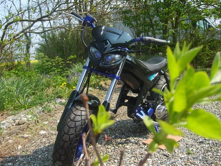 Suzuki Street Magic  - - Sådan ser den ud nu , efter en del arbejde - billede 20