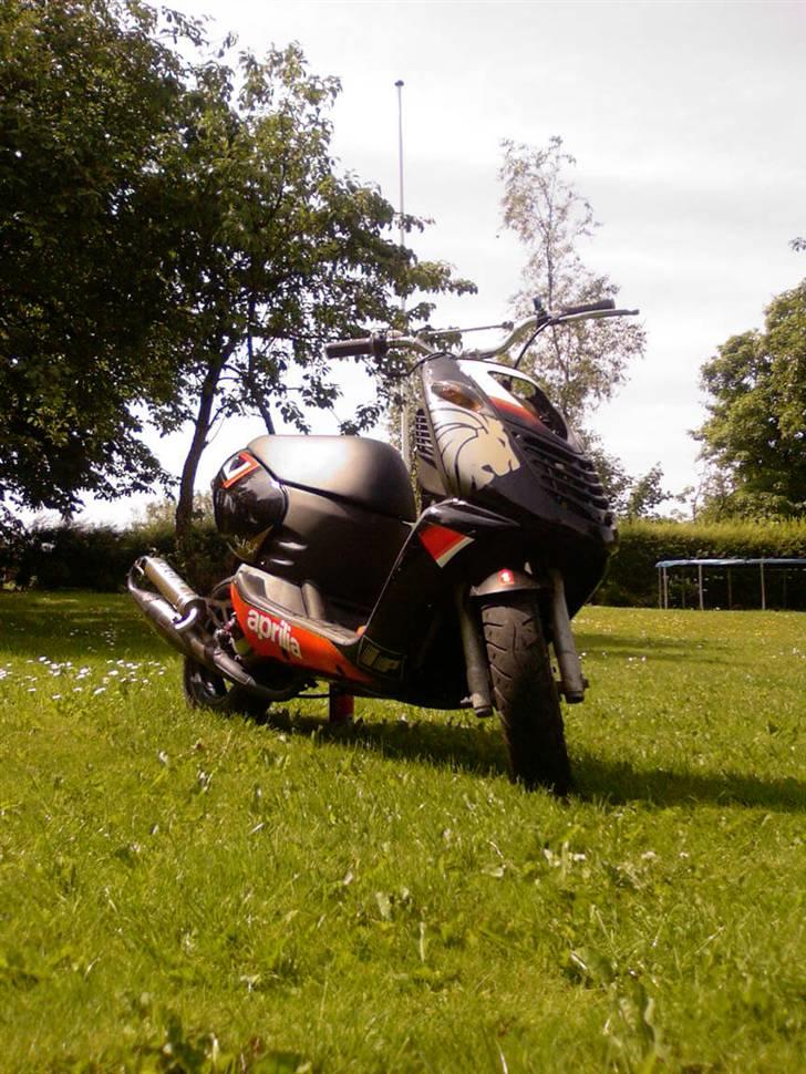 Aprilia sonic-T GP (Byttet) billede 3