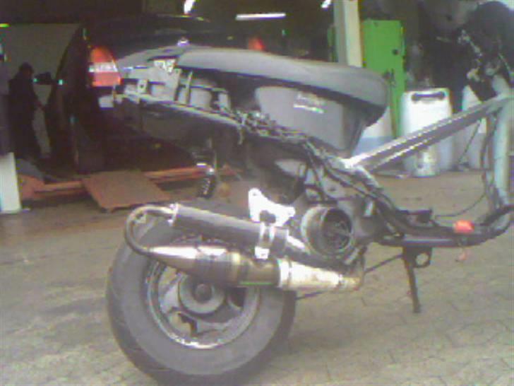 PGO Hot Ombyg. solgt - den flotte yasuni udstødning med carbondæpmer billede 13