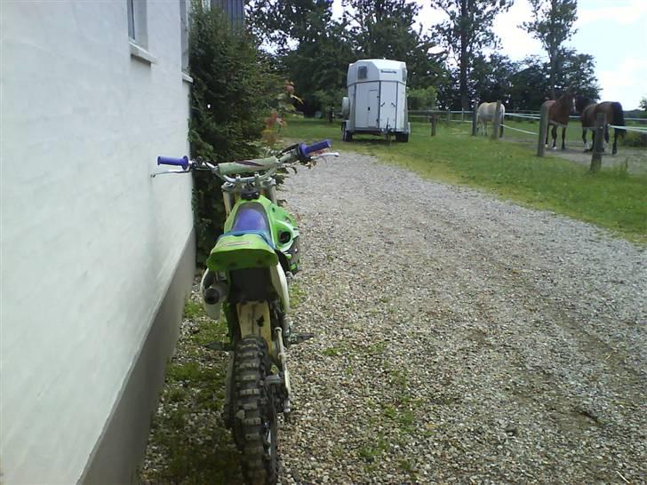 Kawasaki Kx 80 Høj  {solgt} - bagfra . billede 6