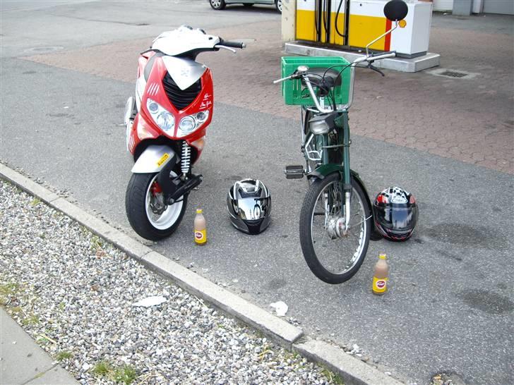 Puch Maxi P *Spritteren* - Vores brændstof.. Congobajere :b billede 20