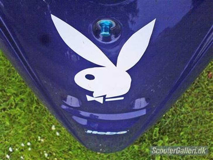 Yamaha [Odense Jog'en] Stjåldet  billede 4