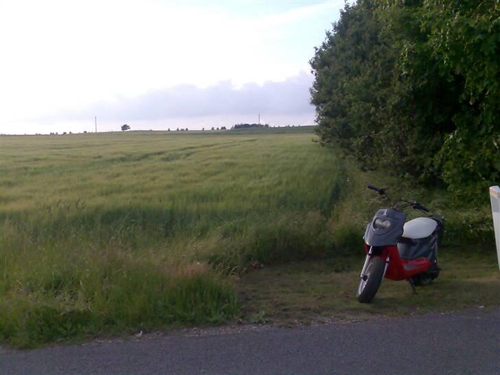 PGO hot50 my baby.. Solgt :'( billede 16