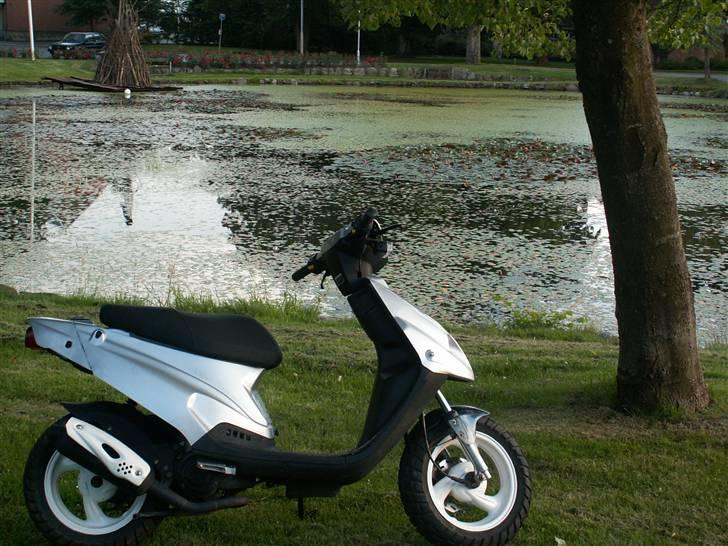 PGO Tornado billede 6