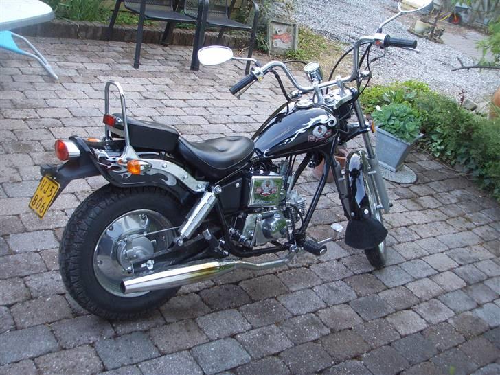 Regal Raptor $ SÆLGES $  billede 1