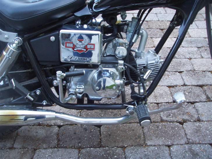 Regal Raptor $ SÆLGES $  billede 2