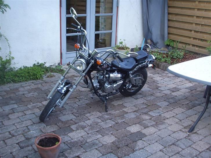 Regal Raptor $ SÆLGES $  billede 3