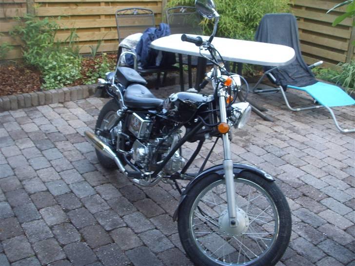 Regal Raptor $ SÆLGES $  billede 4