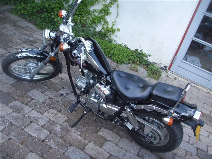 Regal Raptor $ SÆLGES $  billede 5