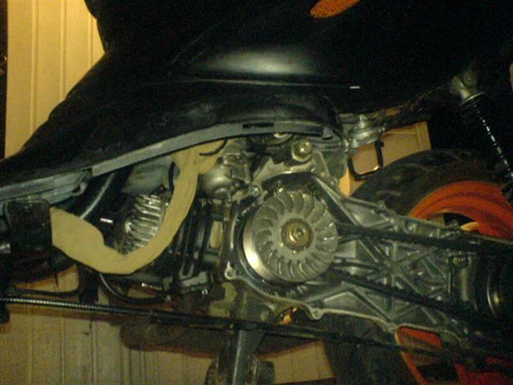 Adly TMP Gazelle/Thunderbike - :b  billede 8