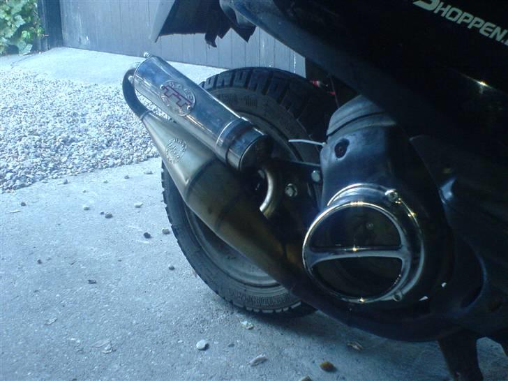 Honda SFX byttet til zip billede 16