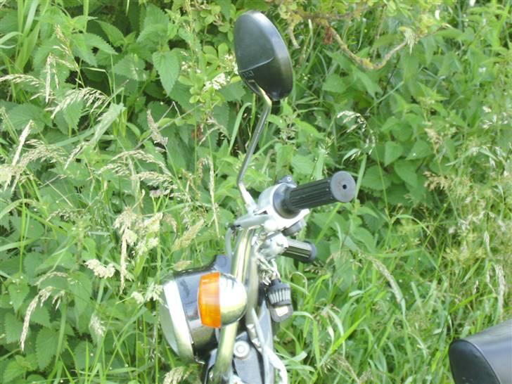 Suzuki FZ50 billede 13