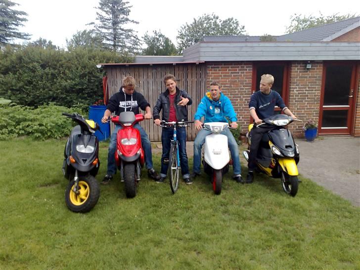 Gilera stalker byttet til sonic billede 9