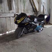 MiniBike Kawasaki ZX0R