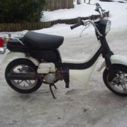 Suzuki Fz 50 - KONGEN