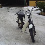 Suzuki Fz 50 - KONGEN