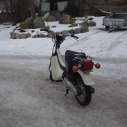 Suzuki Fz 50 - KONGEN