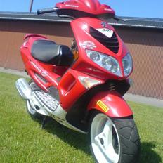 Peugeot Speedfight 307er WRC