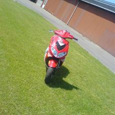 Peugeot Speedfight 307er WRC