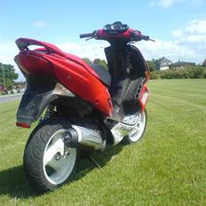 Peugeot Speedfight 307er WRC