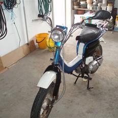 Suzuki Fz50
