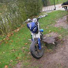 Suzuki Street magic SOLGT