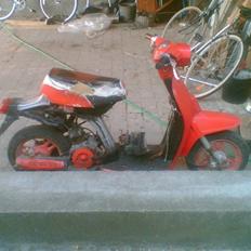 Honda MINI melody (SOLGT)