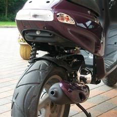 Piaggio typhoon projekt (85%)