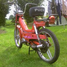 Puch maxi p1 byttet næsby