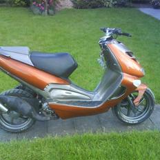 Aprilia ditech byttet