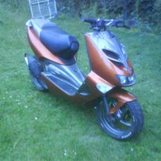 Aprilia ditech byttet