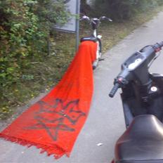 Suzuki Fz 50 - KONGEN