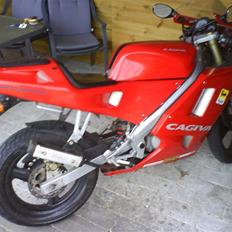 Cagiva Mito SOLGT