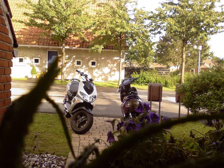 Peugeot  Speedfight [AC] *BEFORE* - Speedy og Viola der står og hyggersig mens mig og ralle spiser bolle i karry :D!!! billede 13