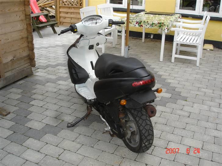 Benelli 491 billede 2