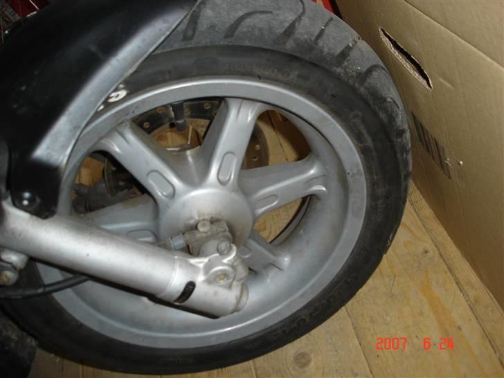 Benelli 491 billede 6