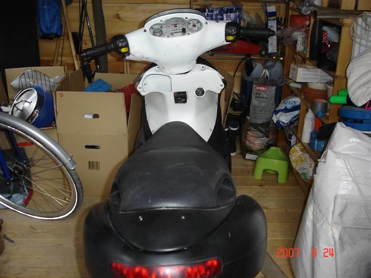 Benelli 491 billede 7