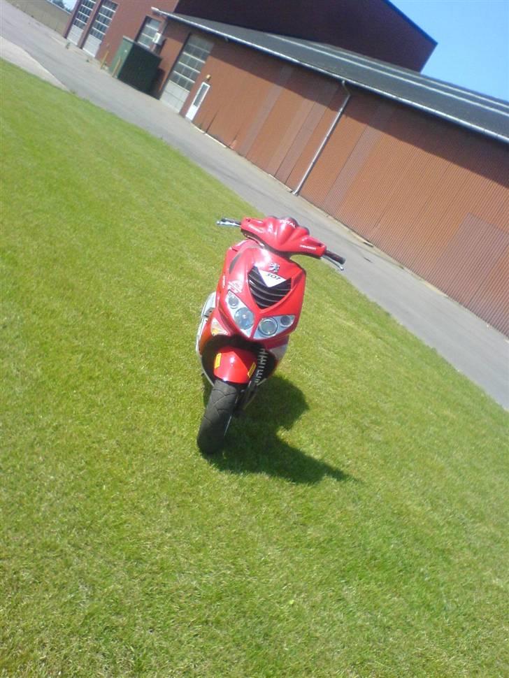 Peugeot Speedfight 307er WRC billede 2