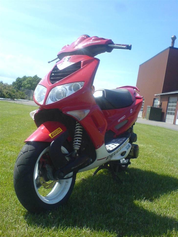 Peugeot Speedfight 307er WRC billede 8