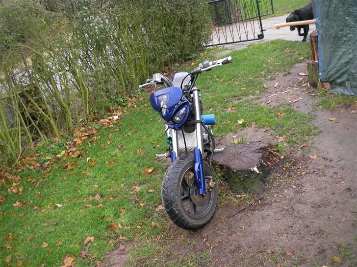 Suzuki Street magic SOLGT billede 2