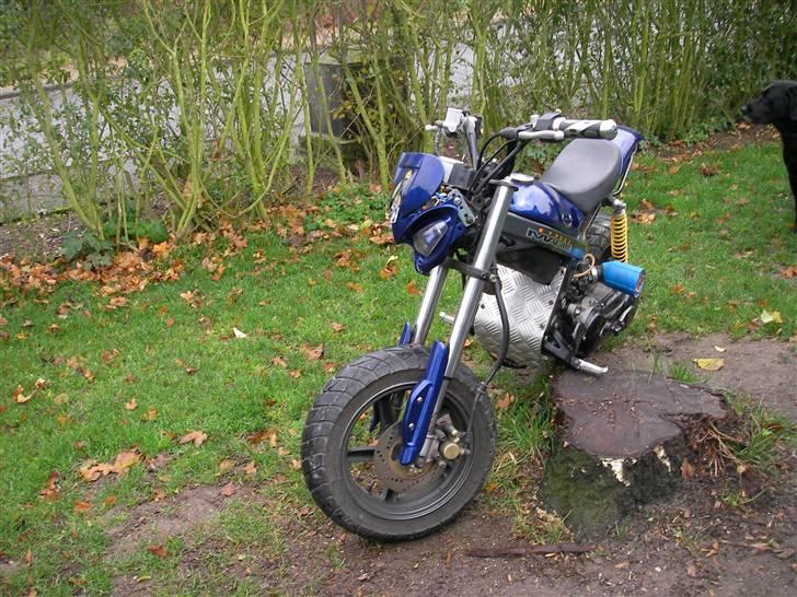 Suzuki Street magic SOLGT billede 3