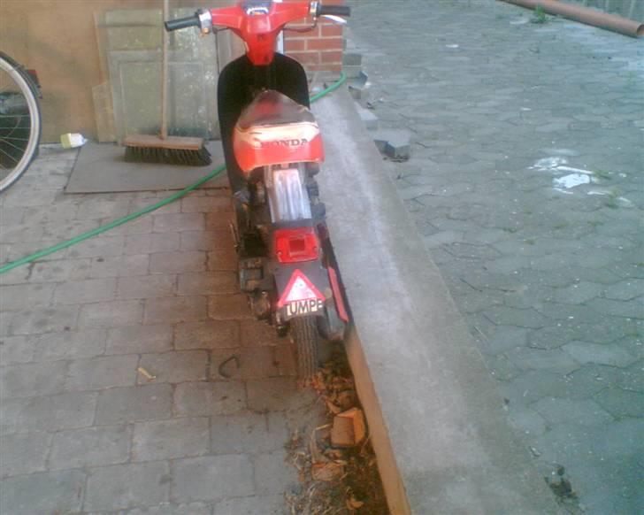 Honda MINI melody (SOLGT) billede 4