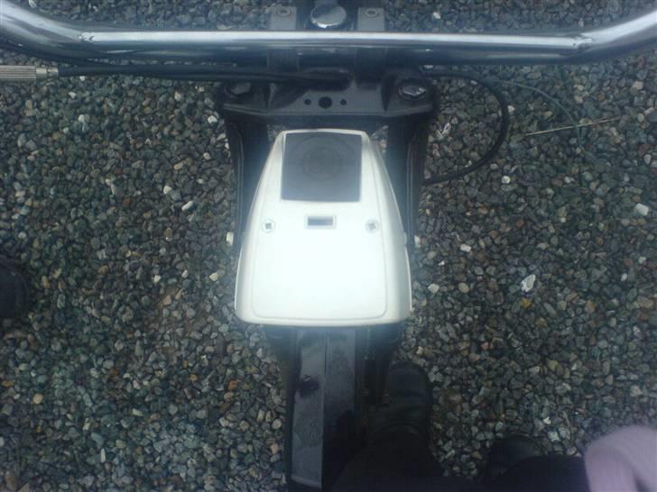 Puch Maxi k billede 5