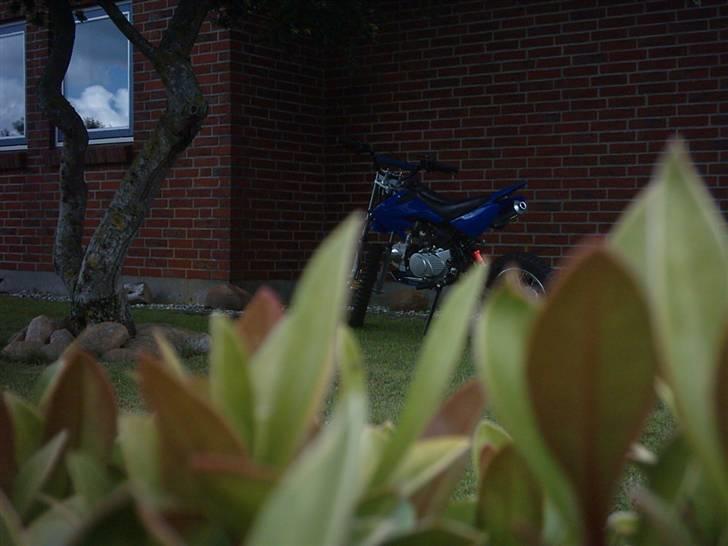 MiniBike crosser 125cc billede 5