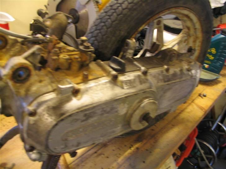 Suzuki Fz50 billede 7